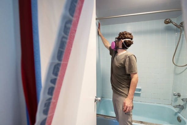 Best Biohazard Mold Removal  in South Temple, PA